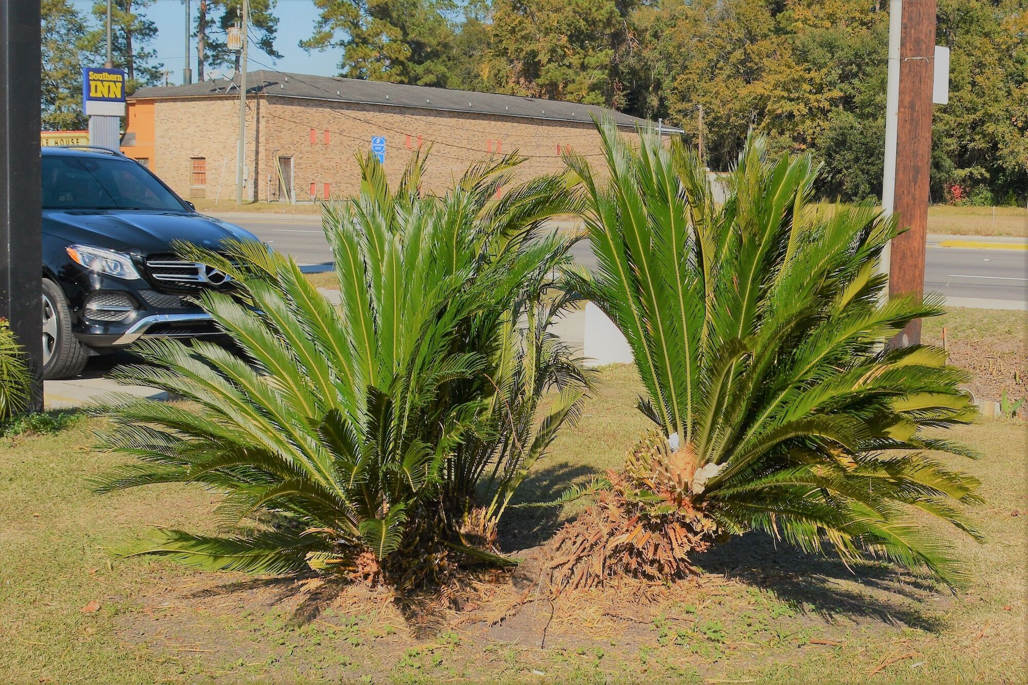 Travelodge By Wyndham Walterboro Εξωτερικό φωτογραφία